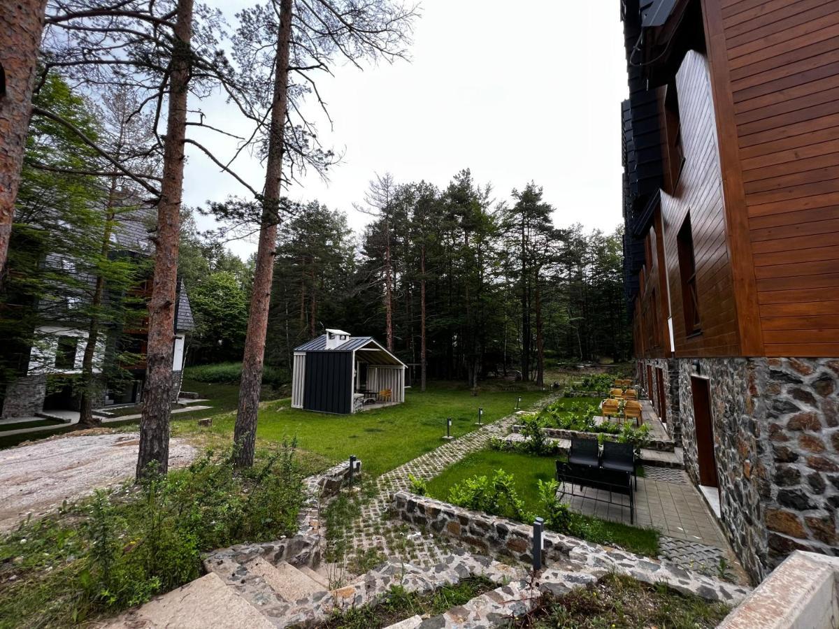 Apartment - Divcigora M&d